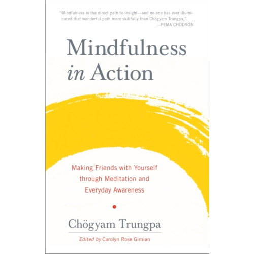 Shambhala Publications Inc Mindfulness in Action (häftad, eng)