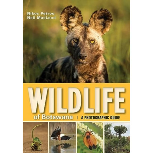 Penguin Random House South Africa Wildlife of Botswana (häftad, eng)