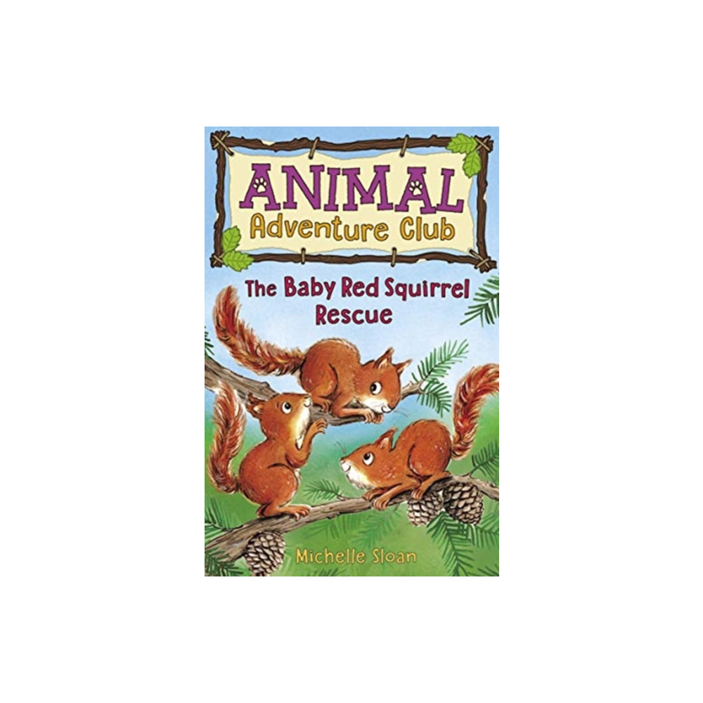 Produktbild för The Baby Red Squirrel Rescue (Animal Adventure Club 3) (häftad, eng)