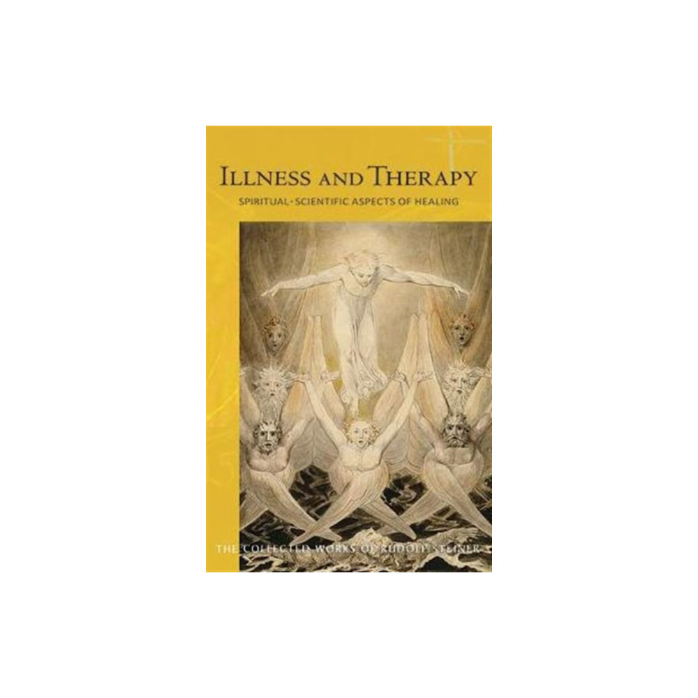 Produktbild för Illness and Therapy (häftad, eng)