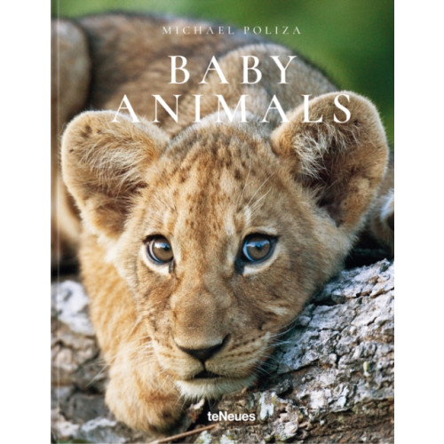 teNeues Publishing UK Ltd Baby Animals (inbunden, eng)