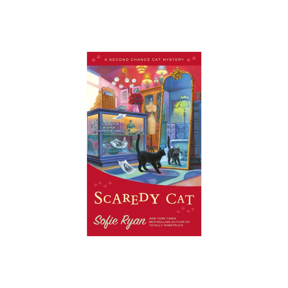 Produktbild för Scaredy Cat (häftad, eng)