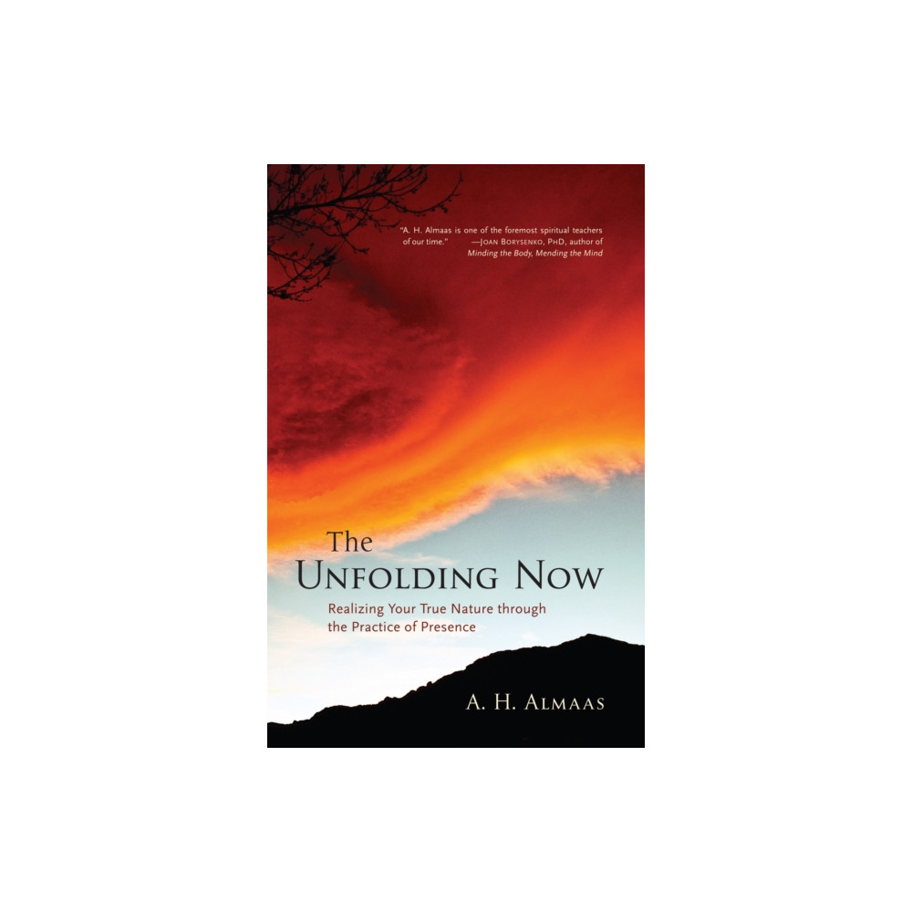 Produktbild för The Unfolding Now (häftad, eng)
