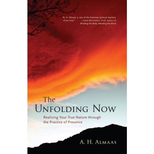 Shambhala Publications Inc The Unfolding Now (häftad, eng)