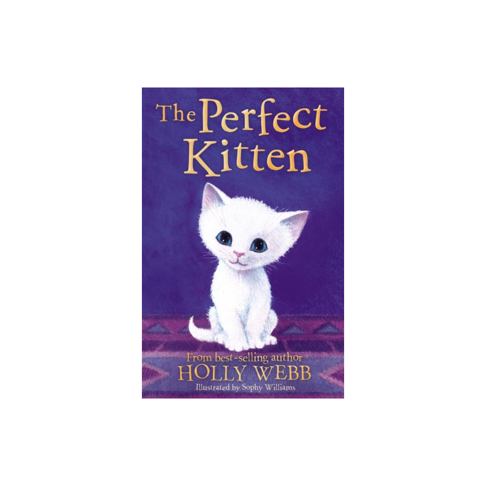 Produktbild för The Perfect Kitten (häftad, eng)