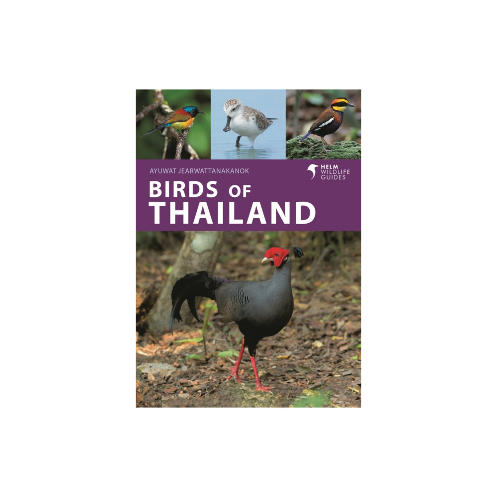 Produktbild för Birds of Thailand (häftad, eng)