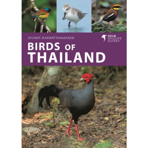 Bloomsbury Publishing PLC Birds of Thailand (häftad, eng)