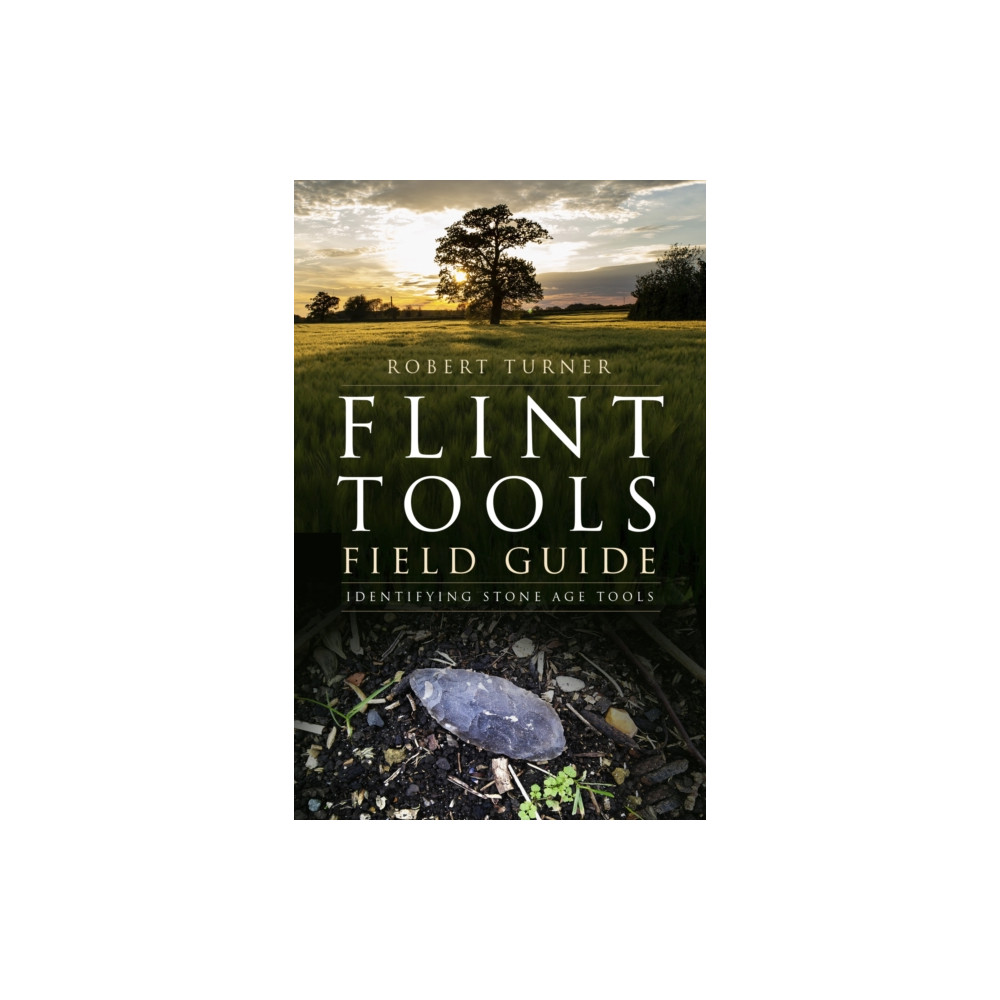 Produktbild för Flint Tools Field Guide (häftad, eng)