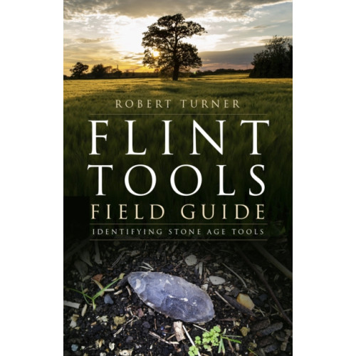 The History Press Ltd Flint Tools Field Guide (häftad, eng)