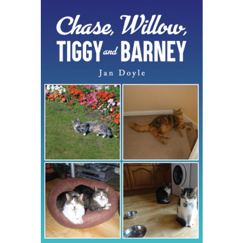 Austin Macauley Publishers Chase, Willow, Tiggy and Barney (häftad, eng)