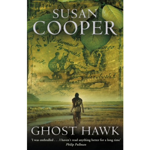 Penguin Random House Children's UK Ghost Hawk (häftad, eng)