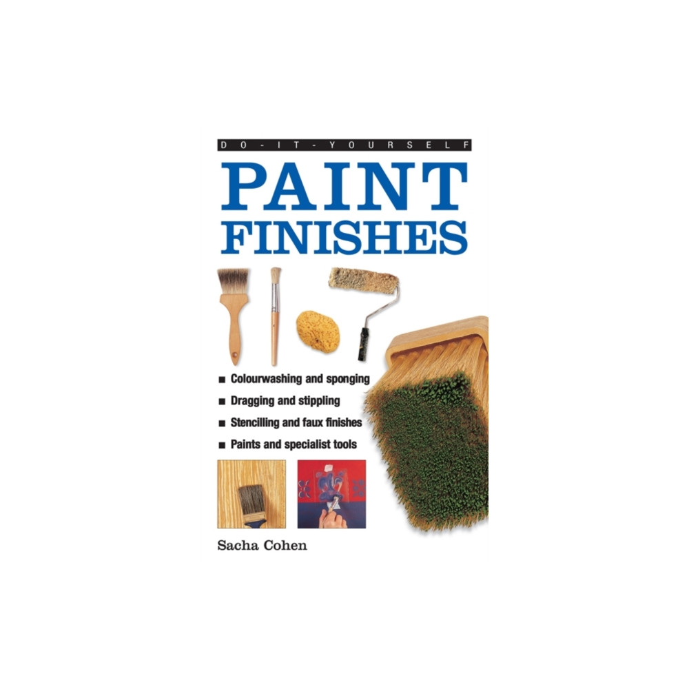 Produktbild för Do-it-yourself Paint Finishes (inbunden, eng)