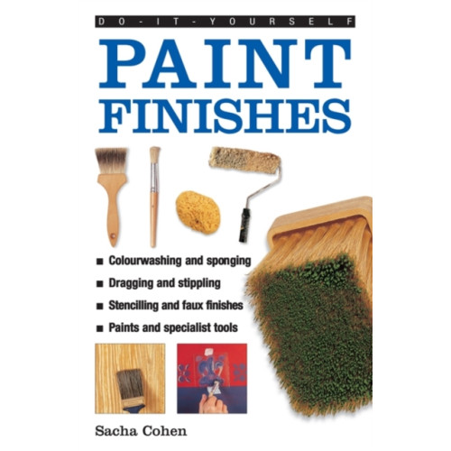 Anness publishing Do-it-yourself Paint Finishes (inbunden, eng)