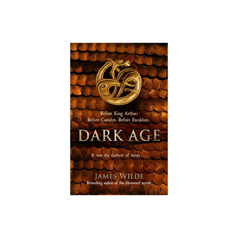 Produktbild för Dark Age (häftad, eng)