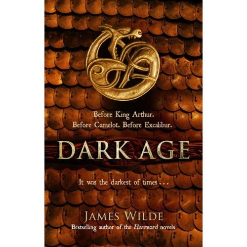 Transworld publishers ltd Dark Age (häftad, eng)