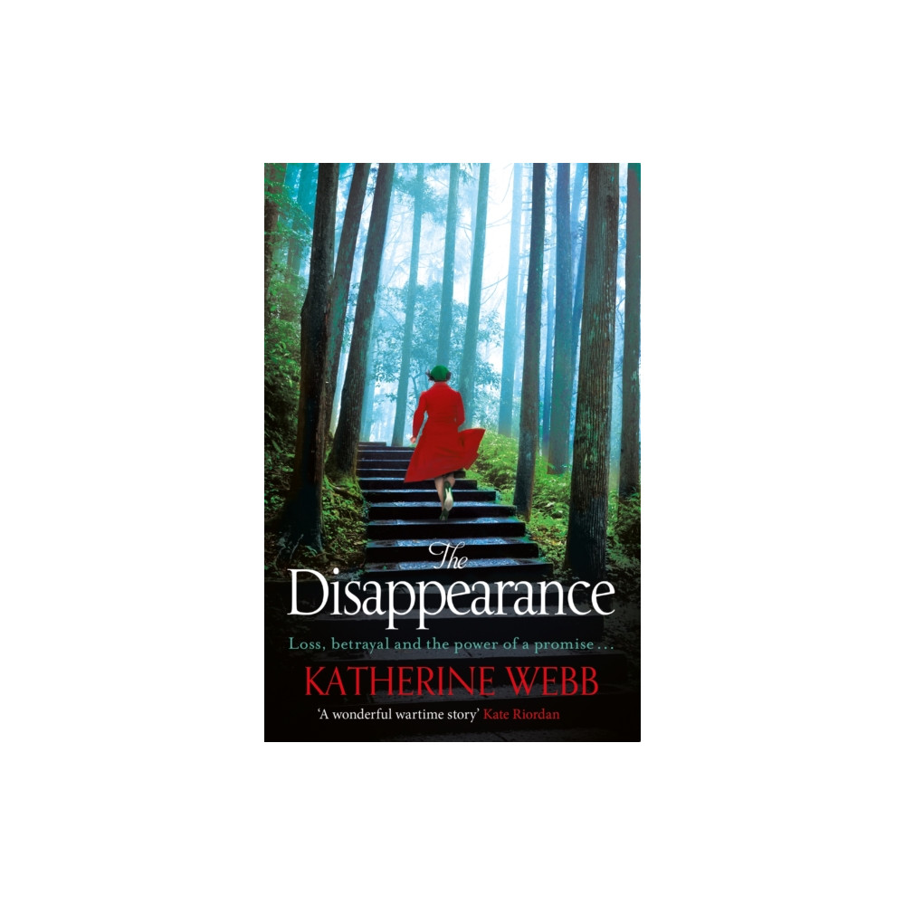 Produktbild för The Disappearance (häftad, eng)