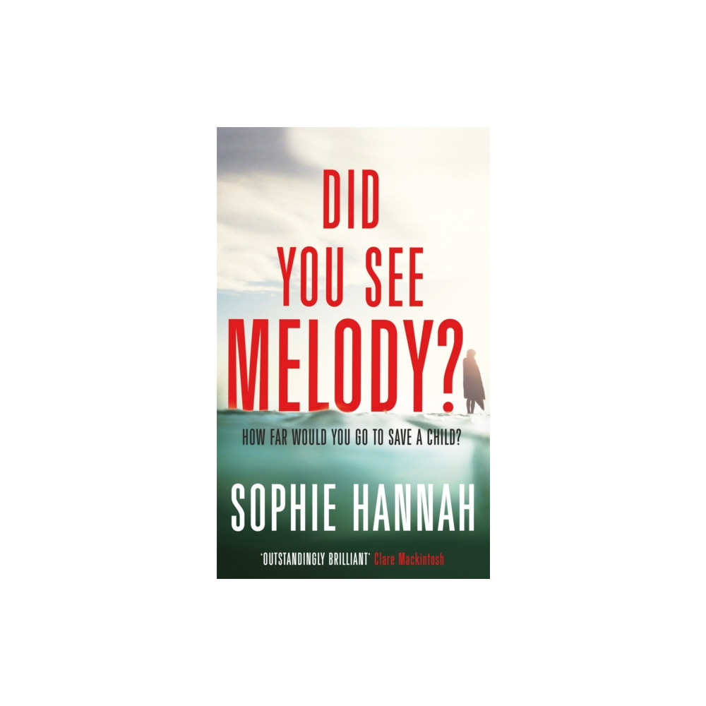 Produktbild för Did You See Melody? (häftad, eng)