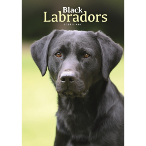 Carousel Calendars Labrador Retrievers Black A5 Diary 2025 (häftad, eng)