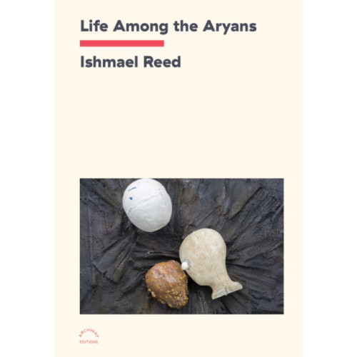 powerHouse Books,U.S. Life Among The Aryans (häftad, eng)