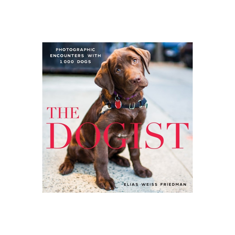 Produktbild för The Dogist (inbunden, eng)