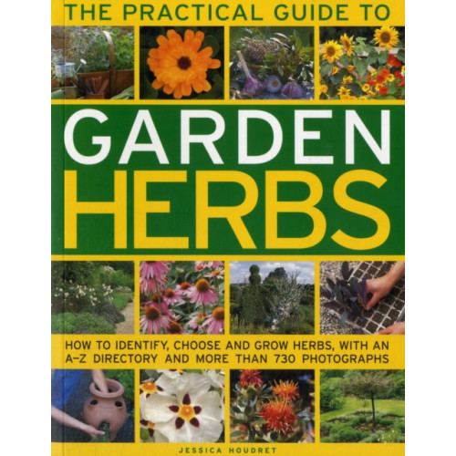 Anness publishing Practical Guide to Garden Herbs (häftad, eng)