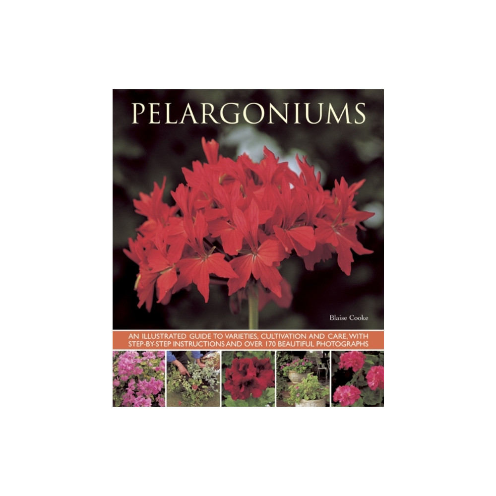 Produktbild för Pelargoniums (häftad, eng)