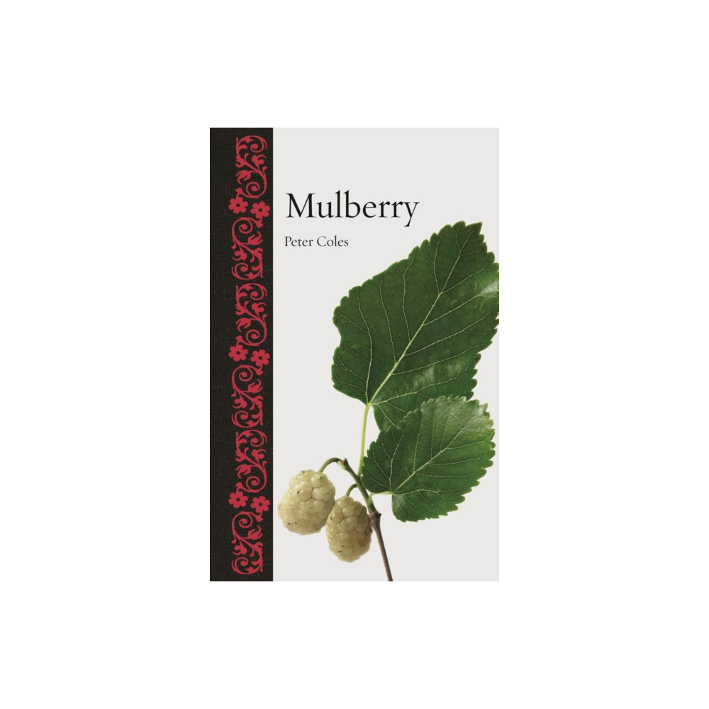 Produktbild för Mulberry (inbunden, eng)