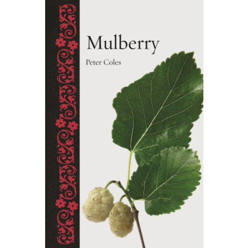 Reaktion Books Mulberry (inbunden, eng)