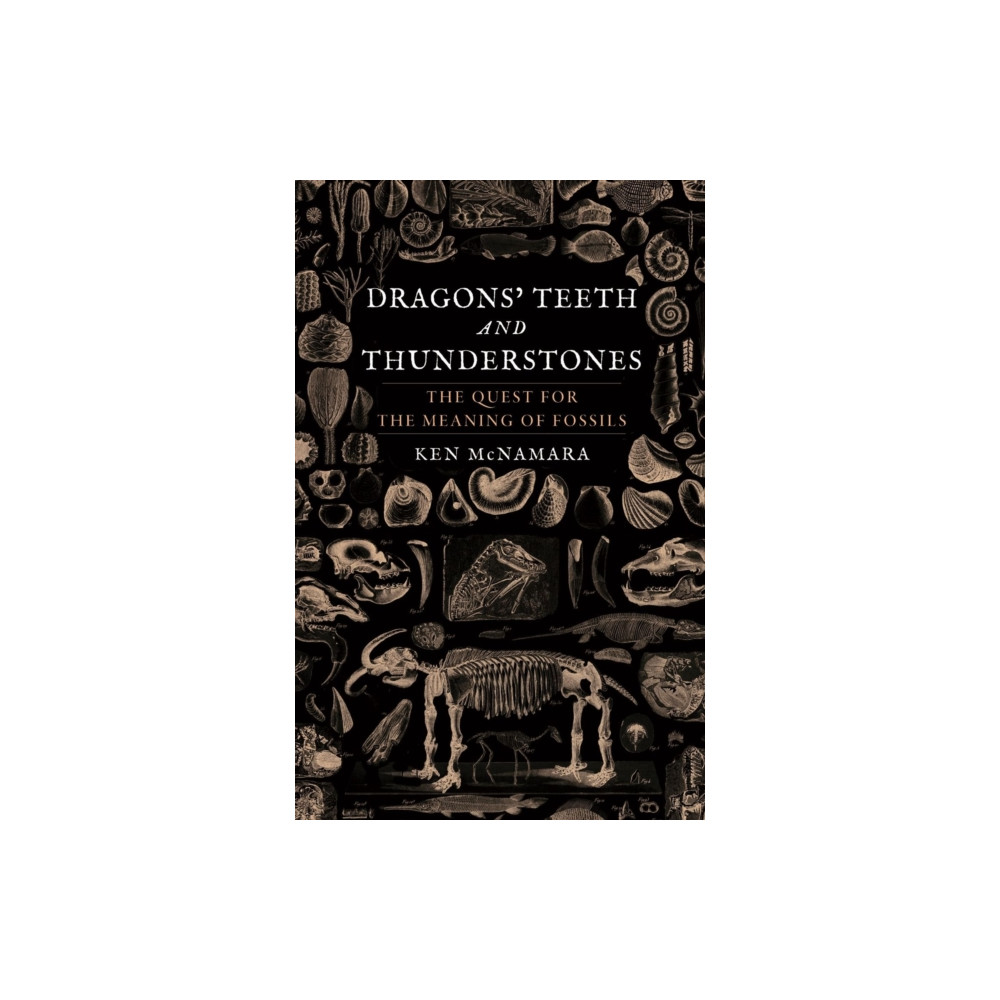 Produktbild för Dragons’ Teeth and Thunderstones (inbunden, eng)