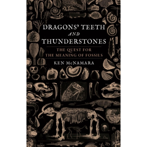Reaktion Books Dragons’ Teeth and Thunderstones (inbunden, eng)