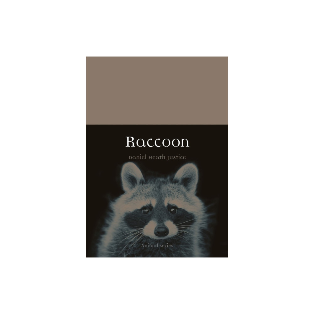 Produktbild för Raccoon (häftad, eng)