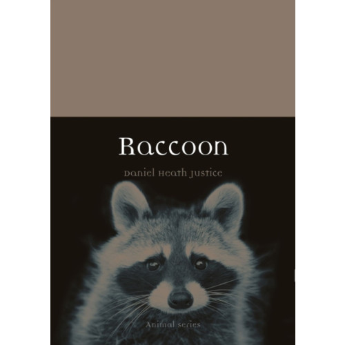 Reaktion Books Raccoon (häftad, eng)