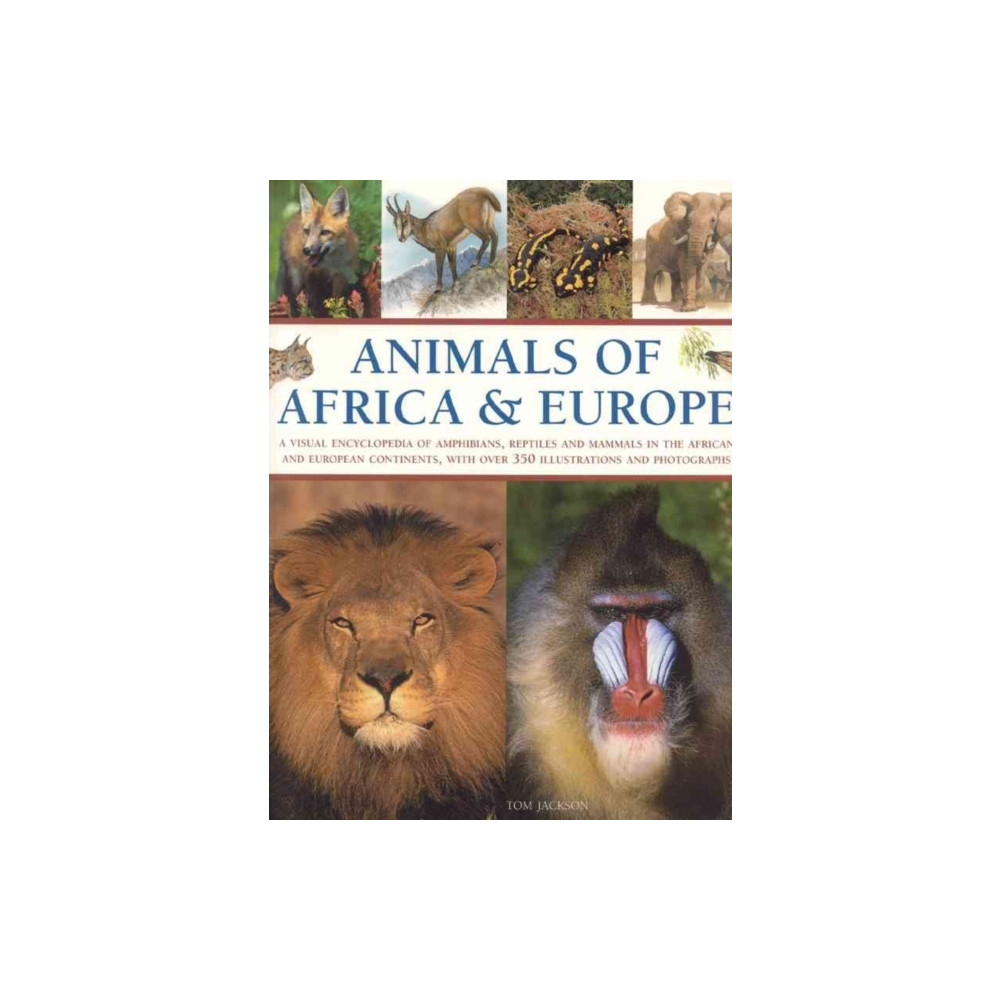 Produktbild för Animals of Africa and Europe (häftad, eng)