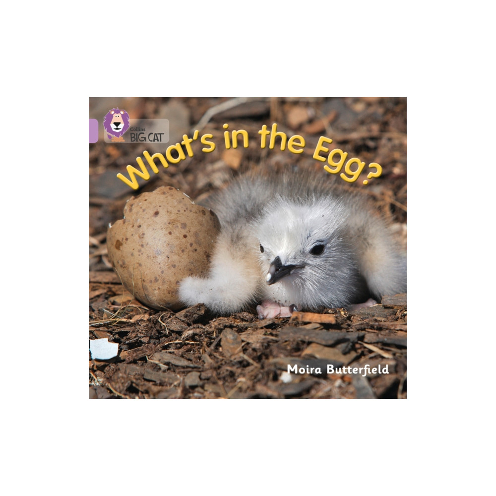 Produktbild för What’s in the Egg? (häftad, eng)