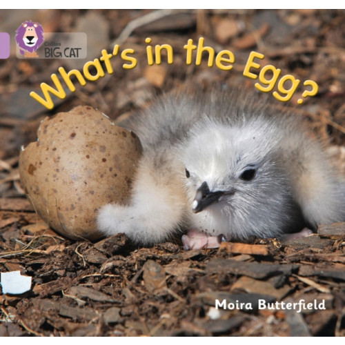 HarperCollins Publishers What’s in the Egg? (häftad, eng)