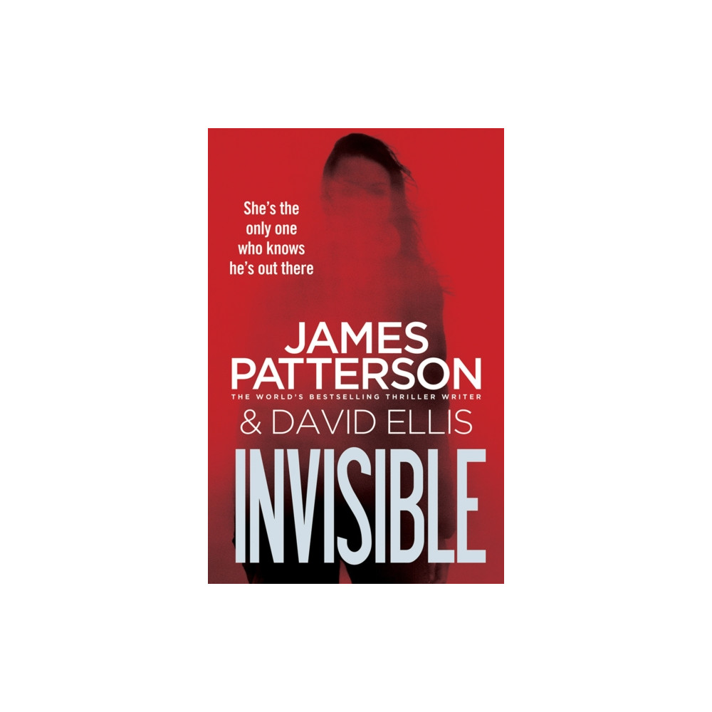Produktbild för Invisible (häftad, eng)