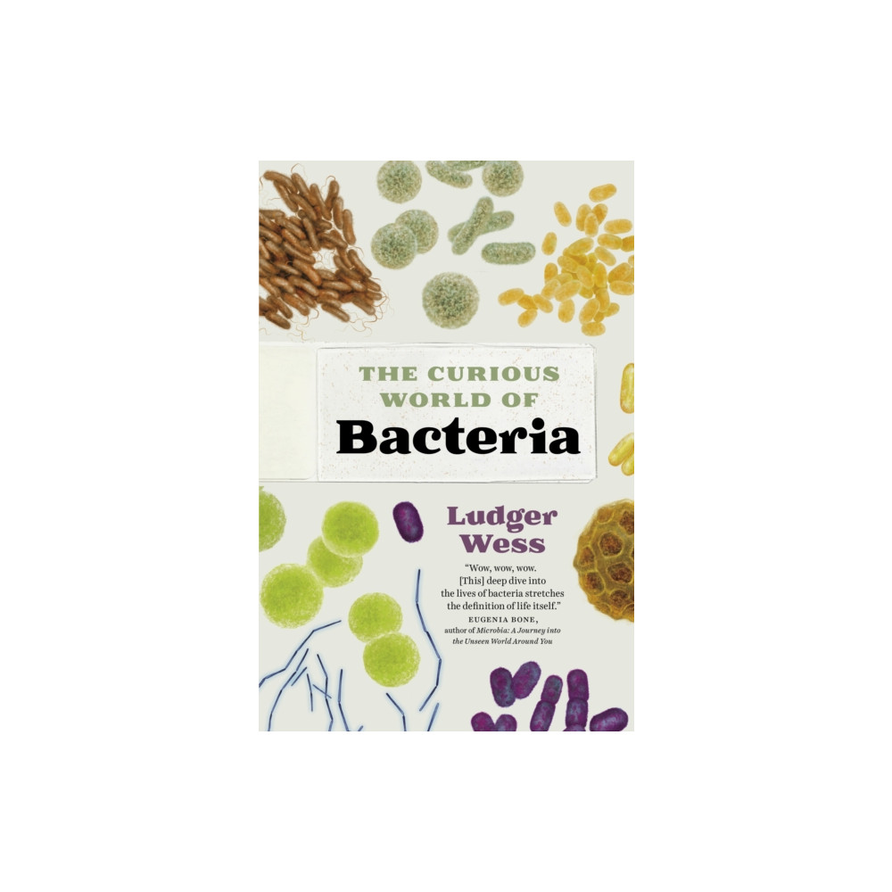 Produktbild för The Curious World of Bacteria (inbunden, eng)