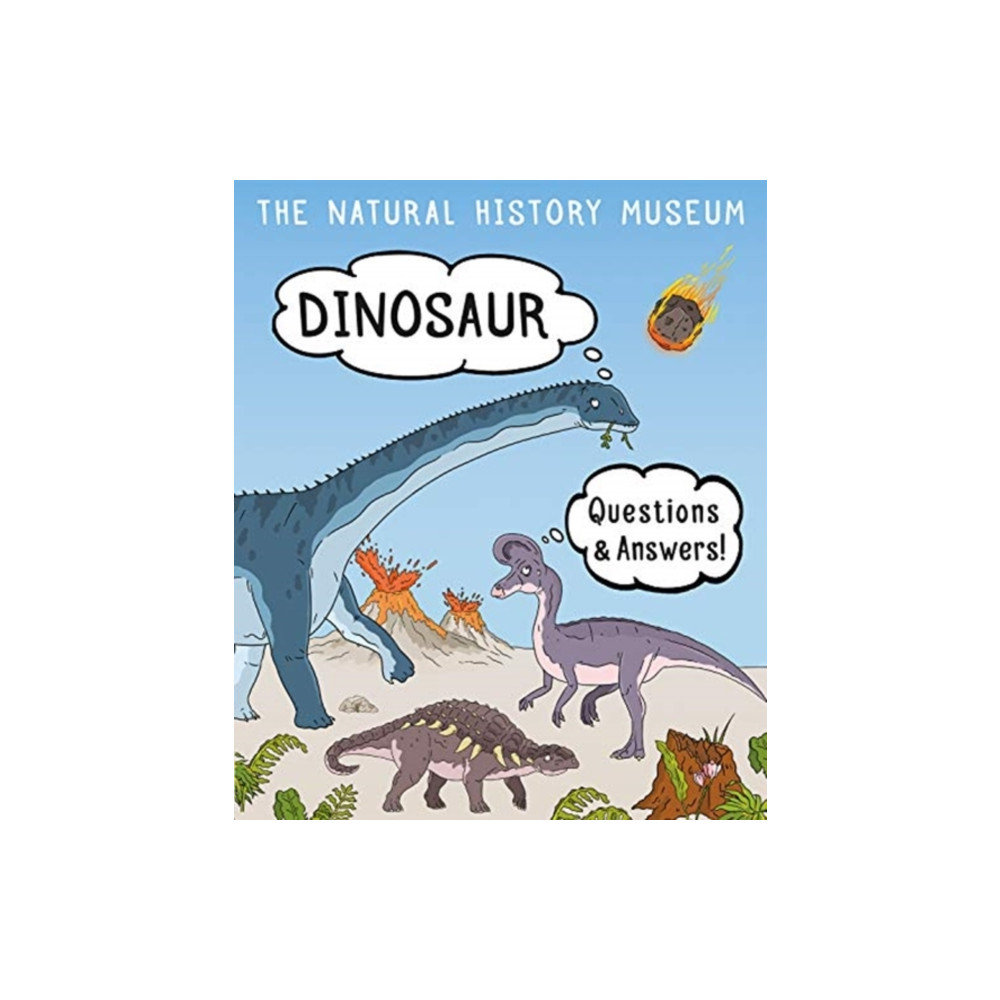 Produktbild för Dinosaur Questions & Answers (häftad, eng)