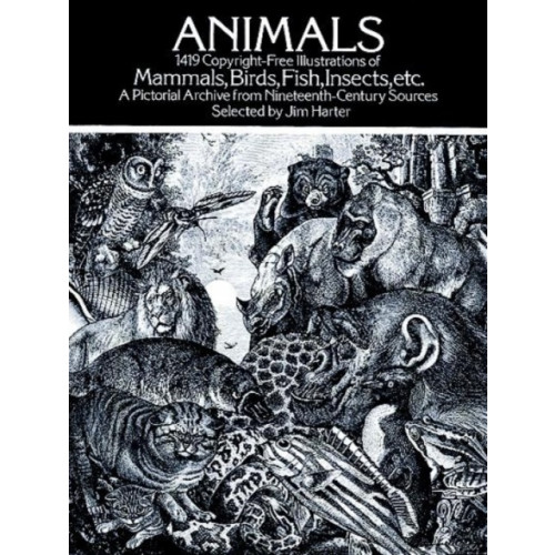 Dover publications inc. Animals (häftad, eng)