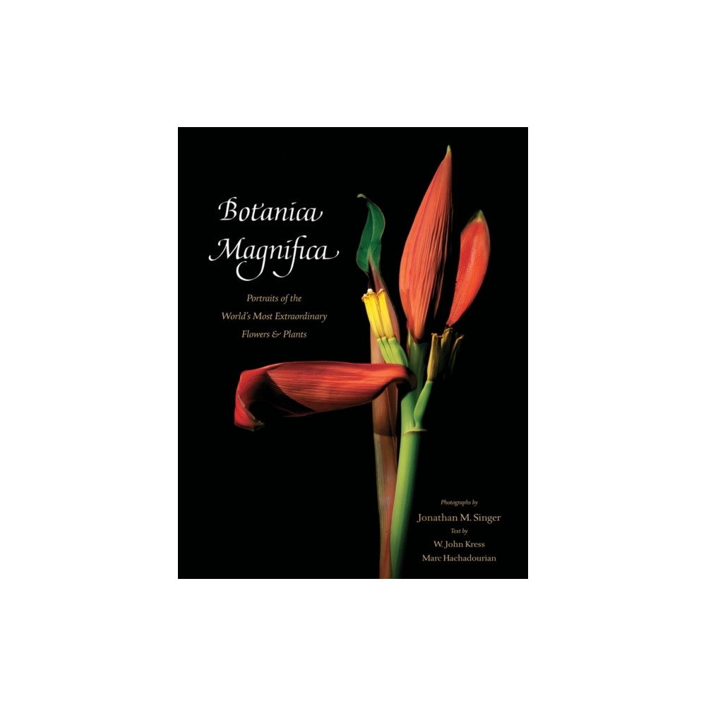 Produktbild för Botanica Magnifica: Portraits of the World's Most Extraordinary Flowers and Plants (inbunden, eng)