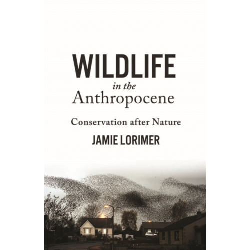 University of Minnesota Press Wildlife in the Anthropocene (häftad, eng)