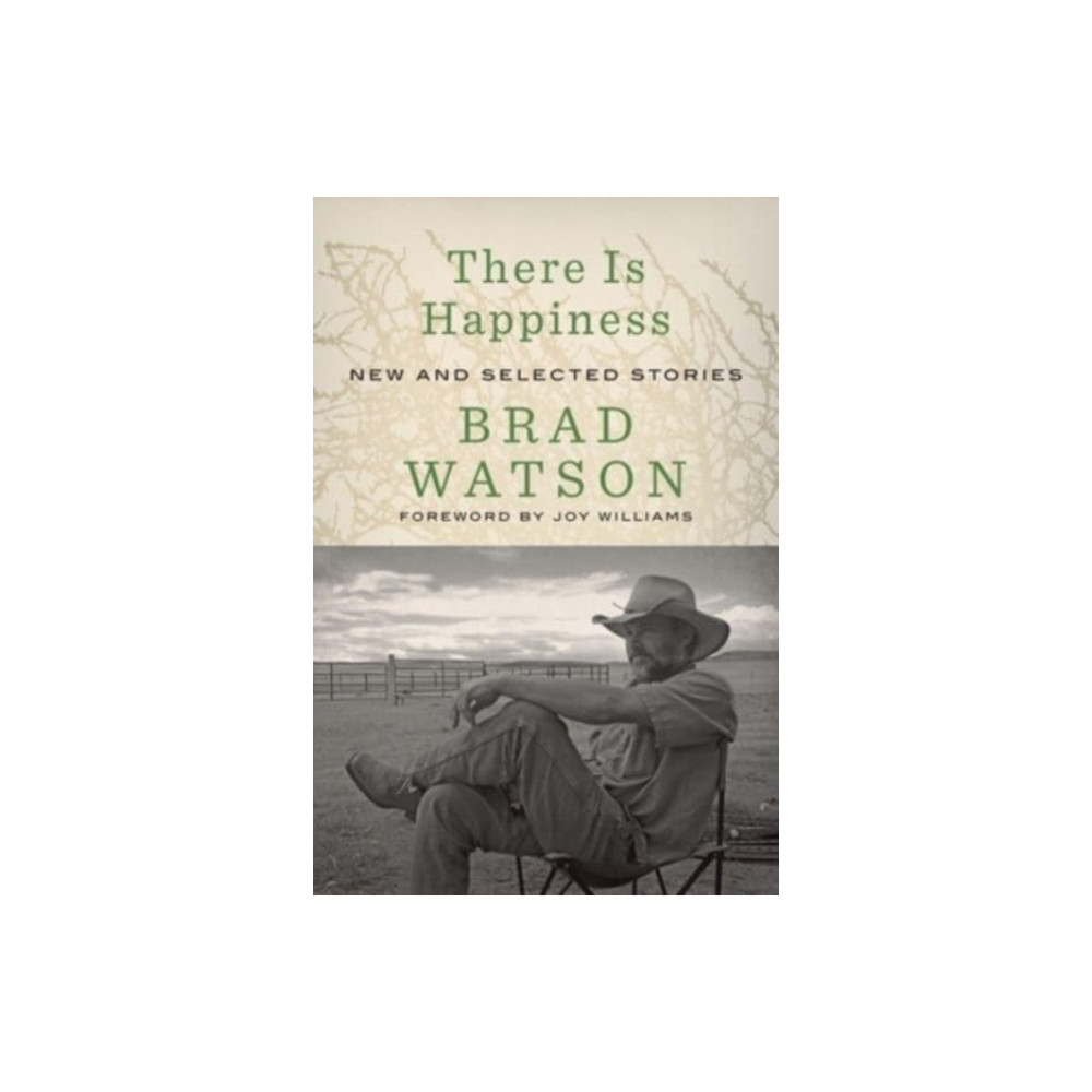 Produktbild för There Is Happiness (inbunden, eng)