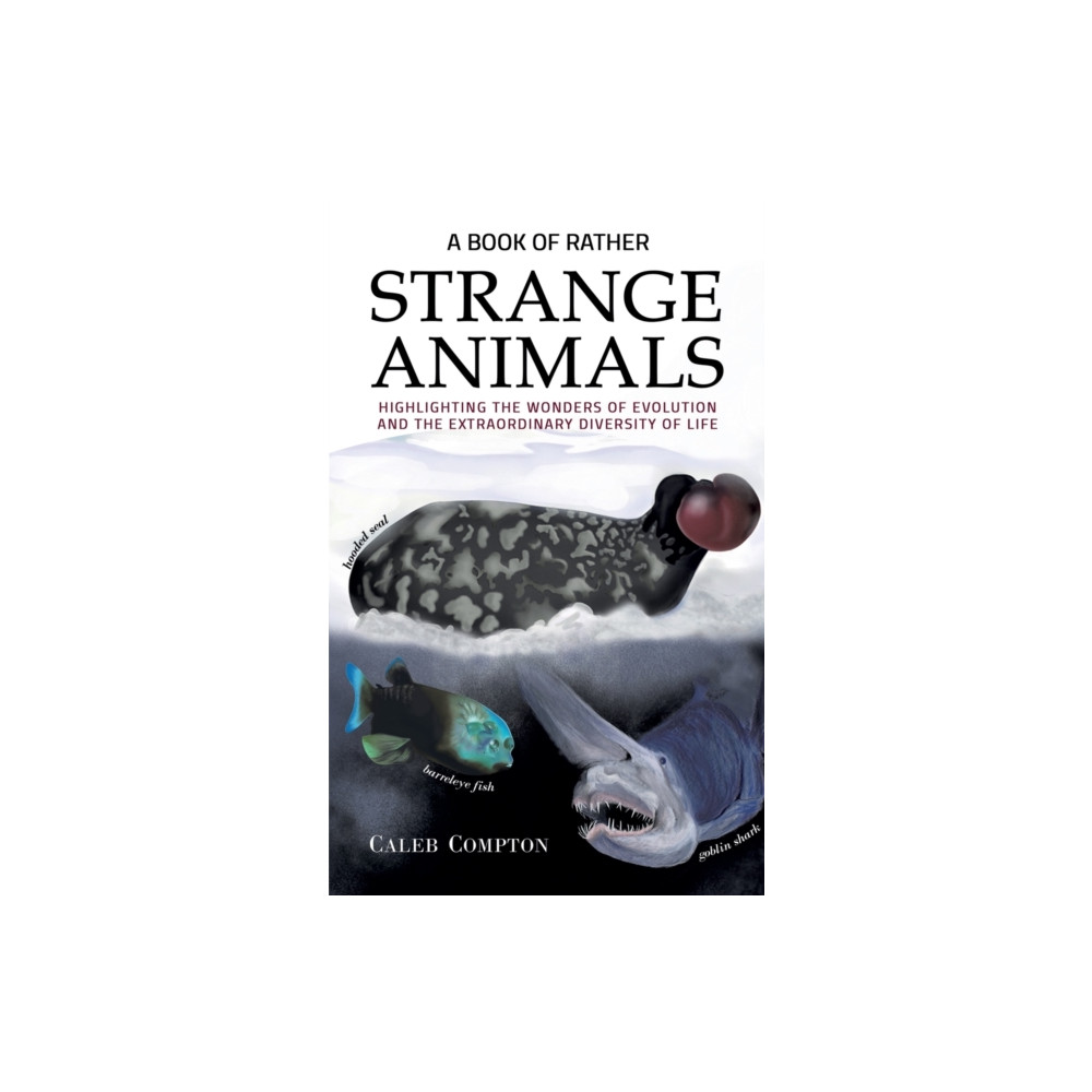 Produktbild för A Book of Rather Strange Animals (häftad, eng)