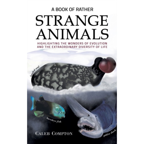 Austin Macauley Publishers A Book of Rather Strange Animals (häftad, eng)