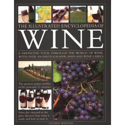 Anness publishing The New Illustrated Guide to Wine (inbunden, eng)