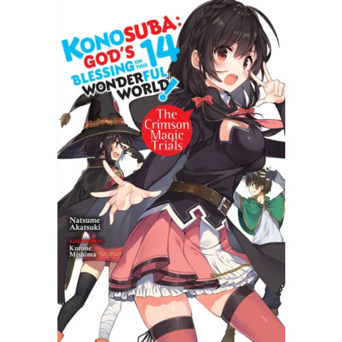 Little, Brown & Company Konosuba: God's Blessing on This Wonderful World!, Vol. 14 light novel (häftad, eng)