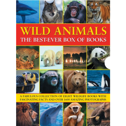 Anness publishing Wild Animals Best Ever Box of Books (häftad, eng)