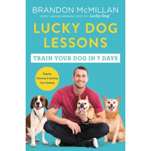 Harpercollins publishers inc Lucky Dog Lessons (häftad, eng)