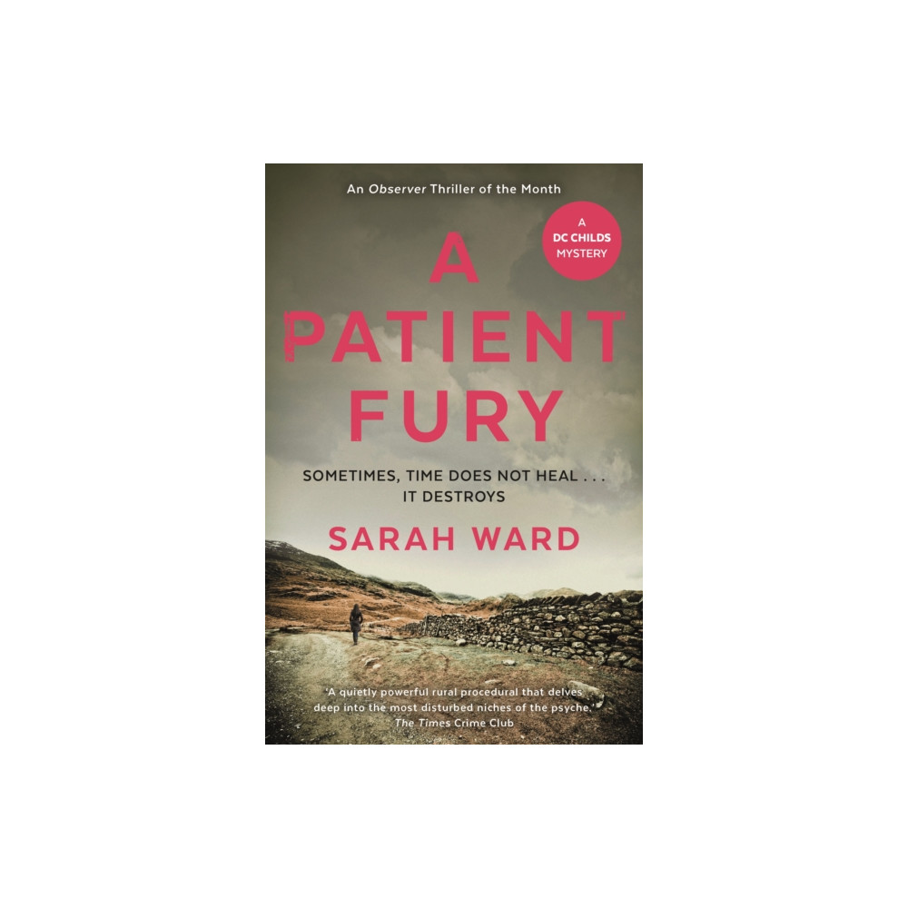 Produktbild för A Patient Fury (häftad, eng)