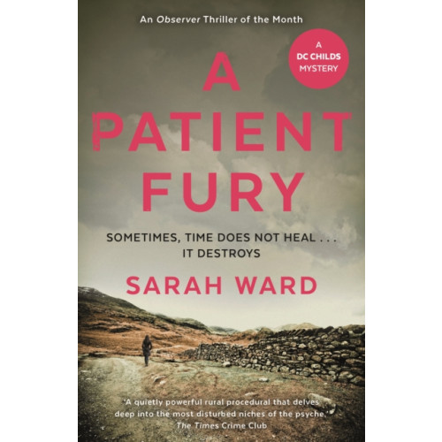 Faber & Faber A Patient Fury (häftad, eng)